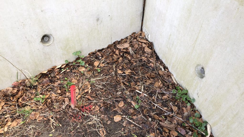 The retaining wall of the home for Taraxacum The retaining wall of the home for Taraxacum
